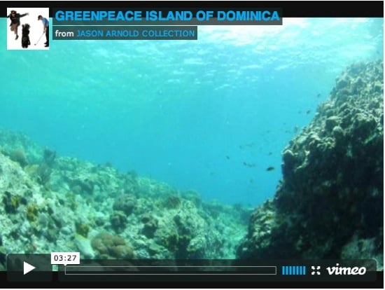 Dominica Dominica