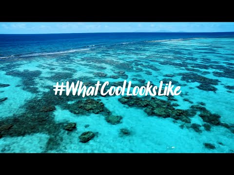 12672 A B T A What Cool Looks Like Compilation Video