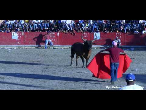 Corridas de toros en el seibo Mayo 2010 (Delseibo.com)