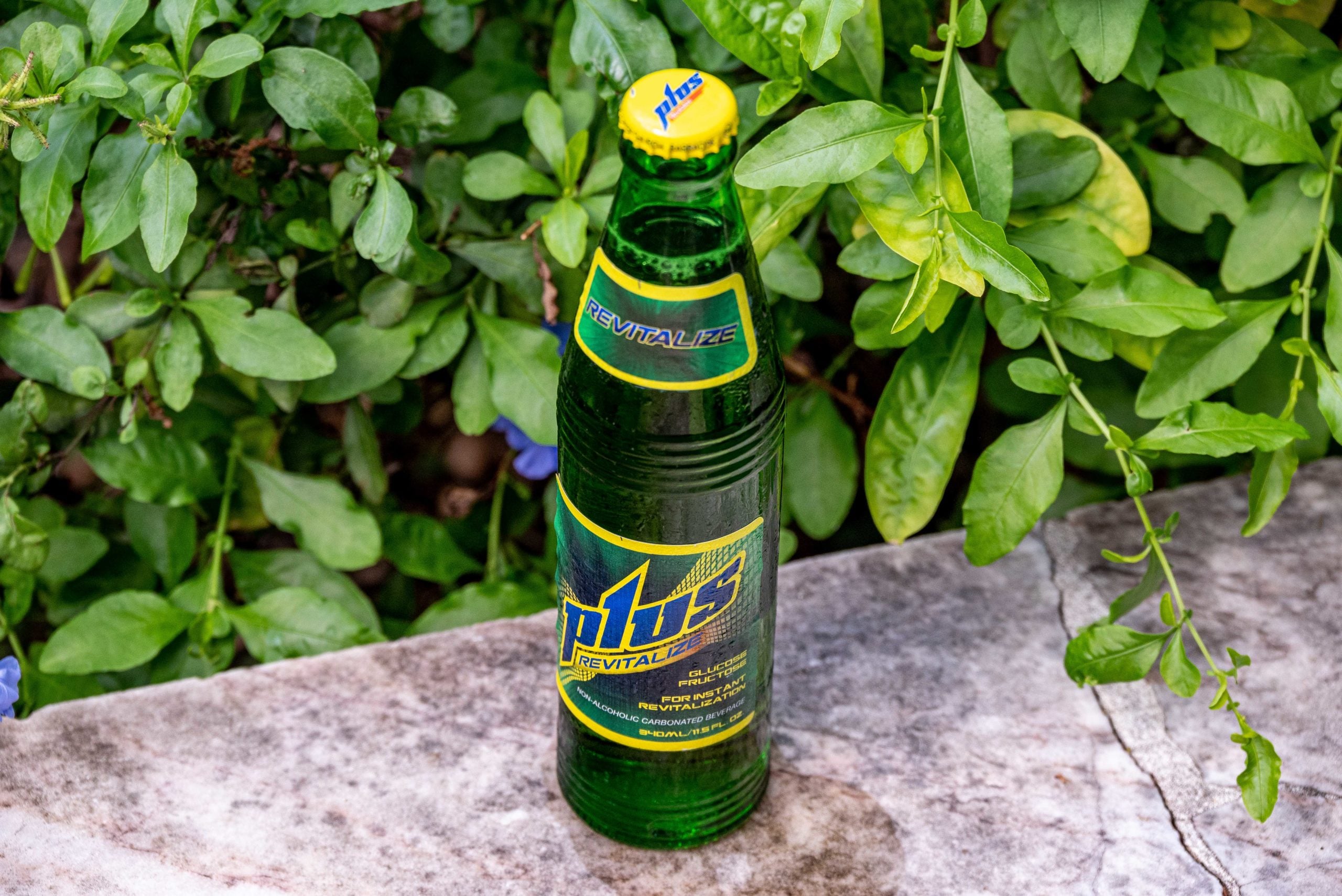 Plus Energy Drink from Barbados