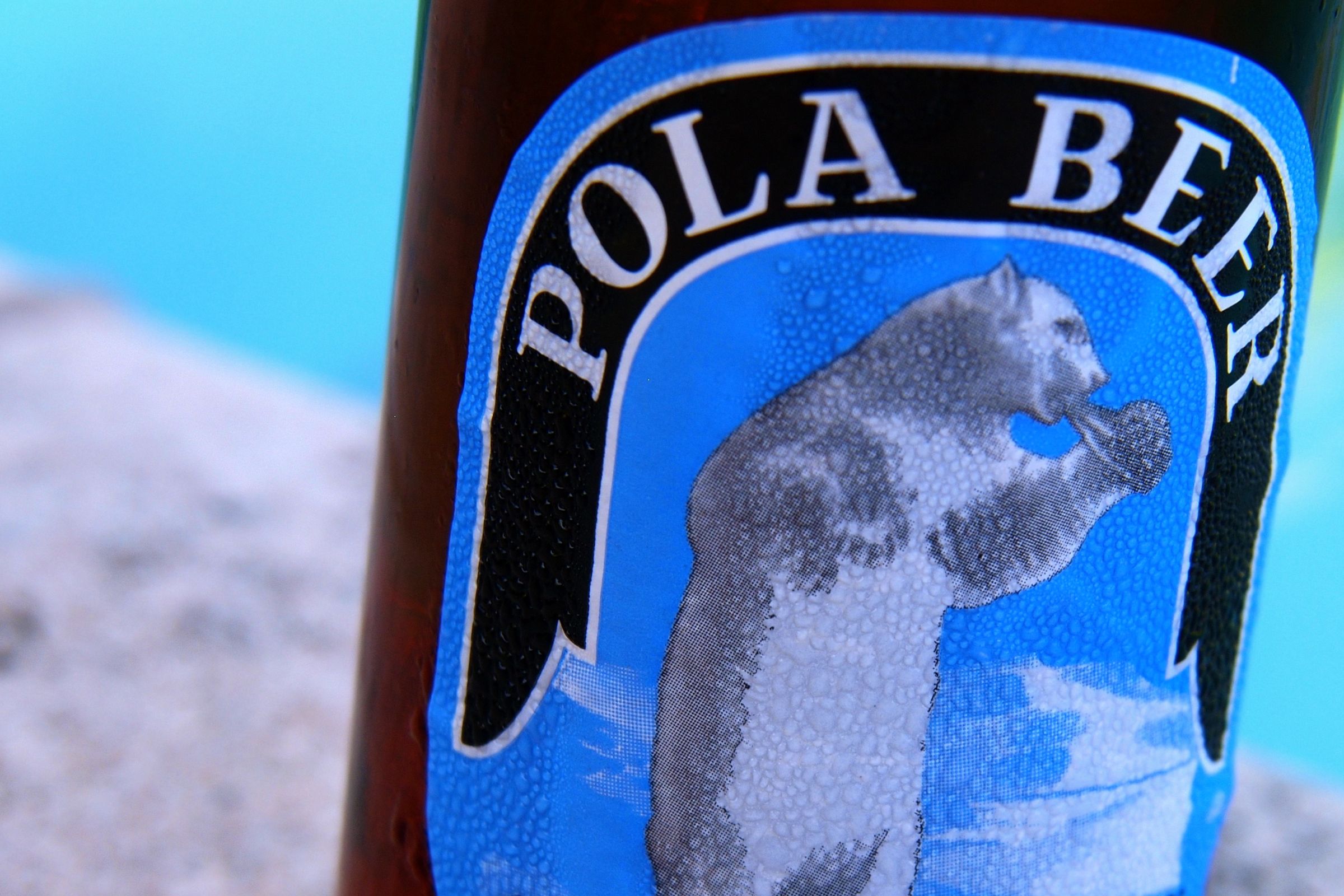Grade 1/1+ NEW JERSEY POLAR CERVEZA BEER ss CAN with a BEAR  Hammonton 
