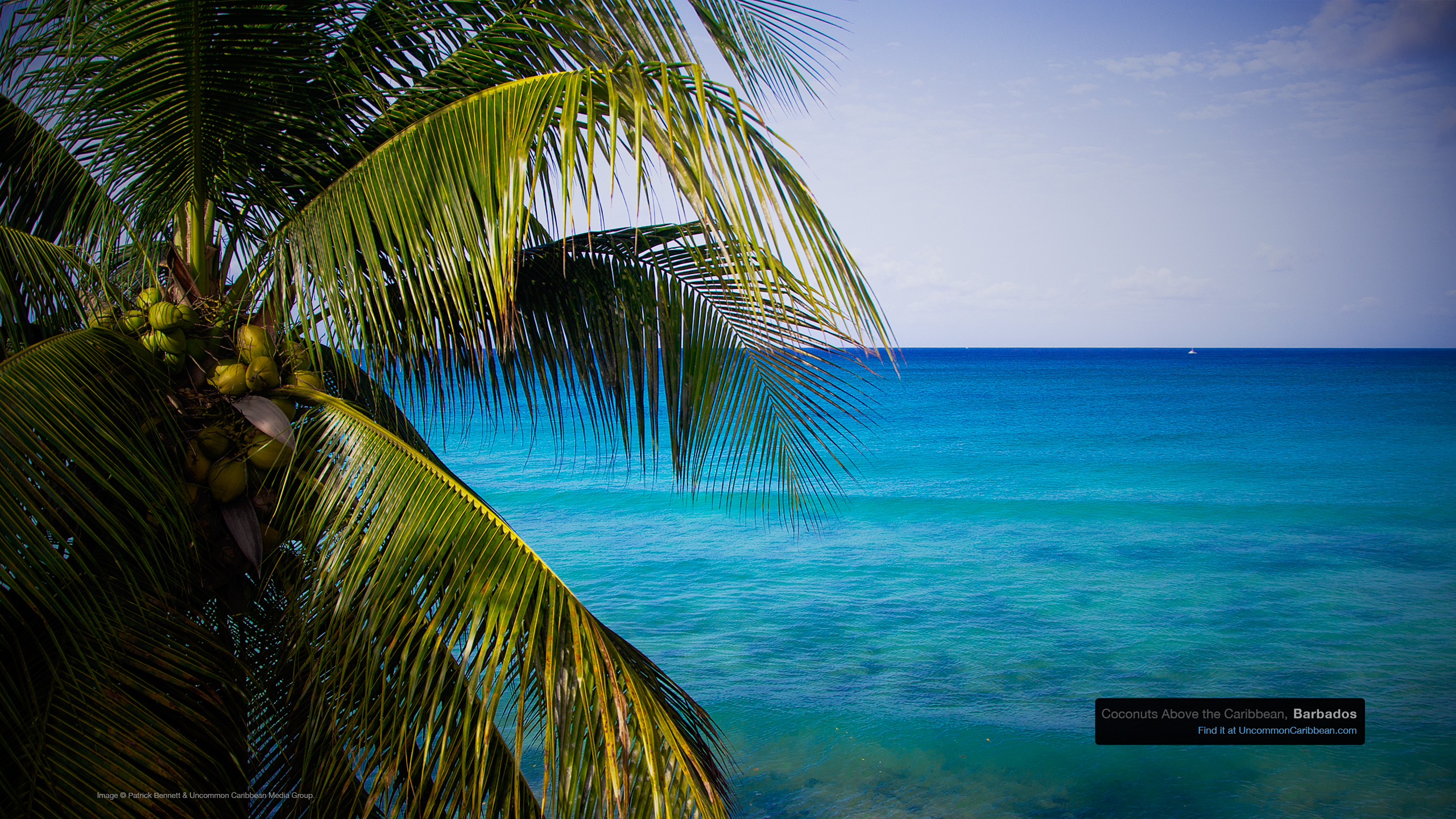 Download Our Best Caribbean Desktop Wallpapers Uncommon Caribbean