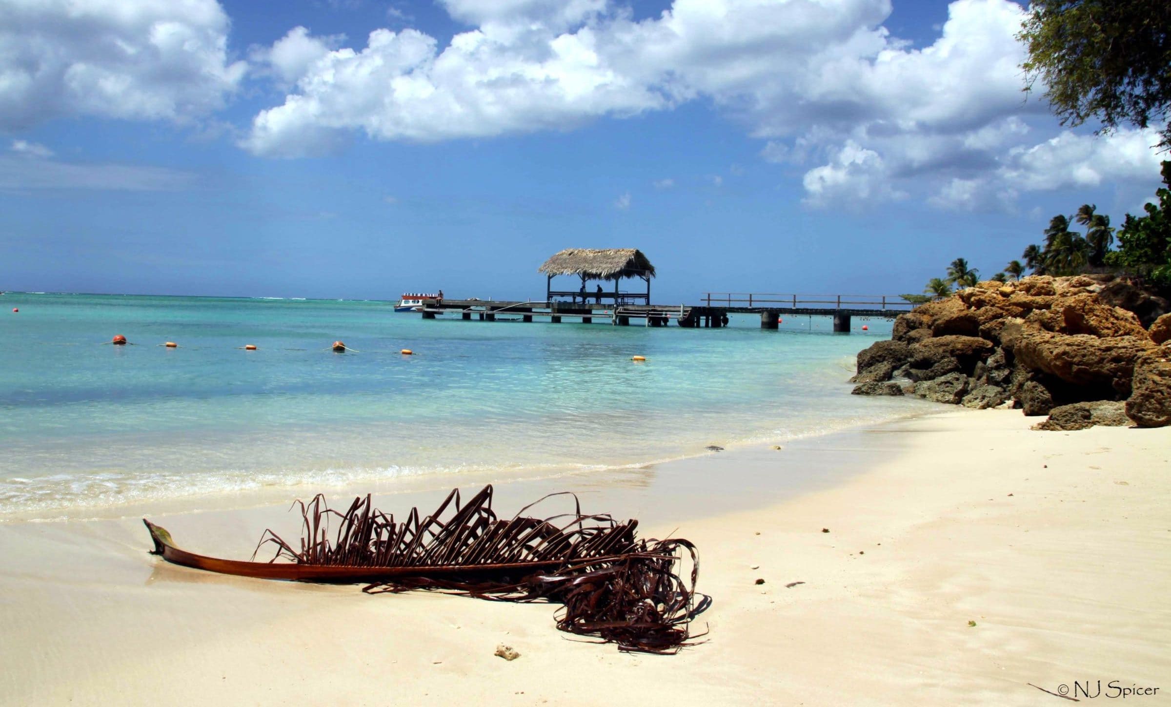 Roaming Trinidad