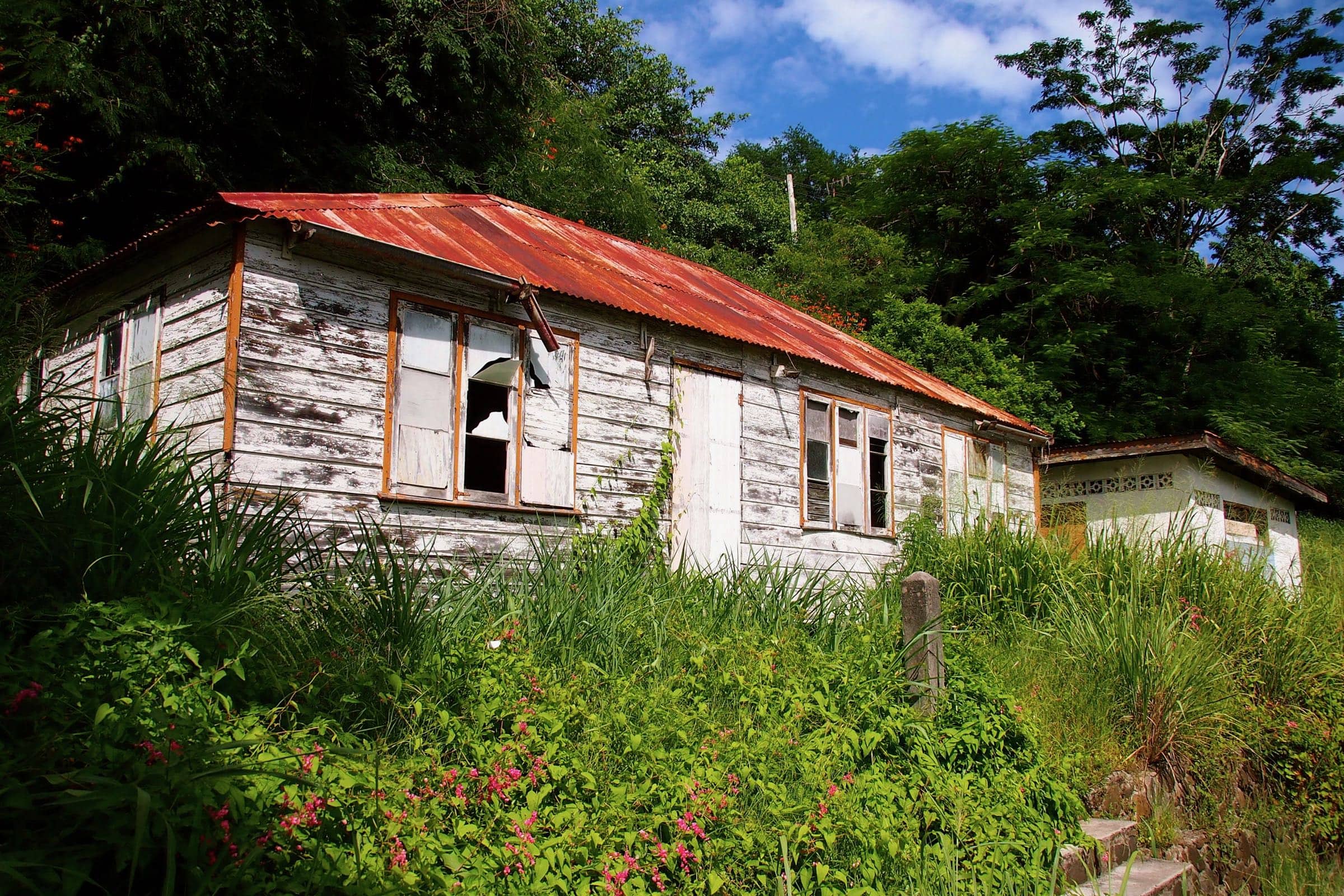 Sad Beauty Atop Mount Pleasant, Bequia
