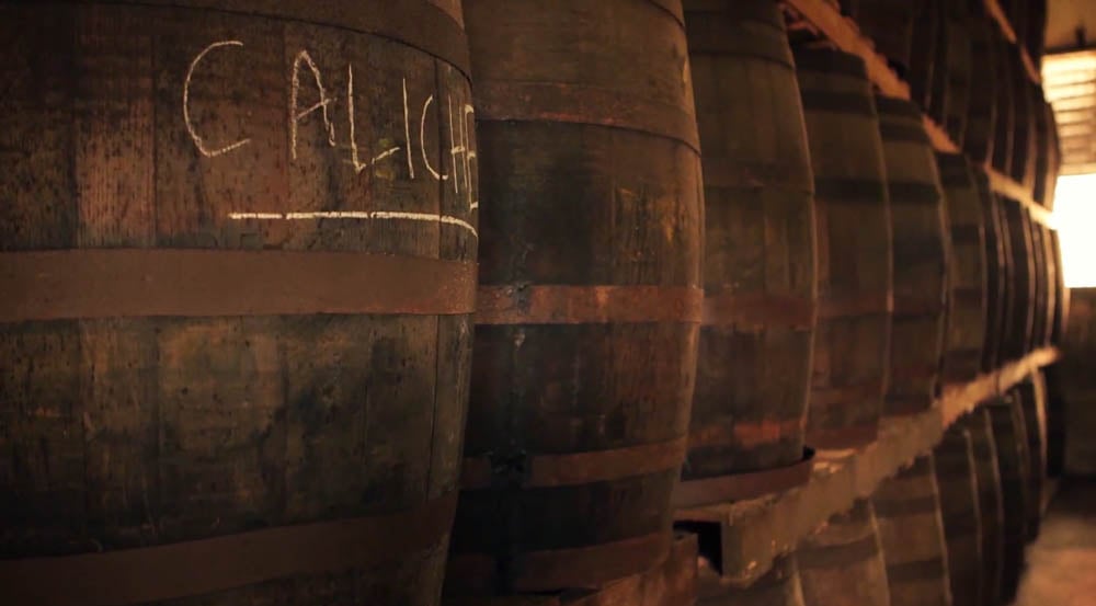 Caliche Rum Barrels at Destilería Serralles, Puerto Rico