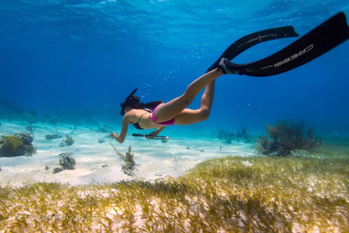 A Quick Guide To Spearfishing In The Bahamas Bahamas Exuma