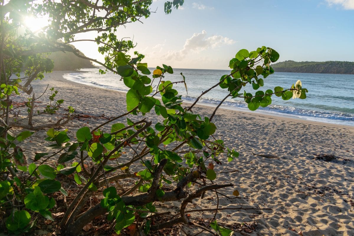Right through here to Neltjeberg Bay, St. Thomas | SBPR