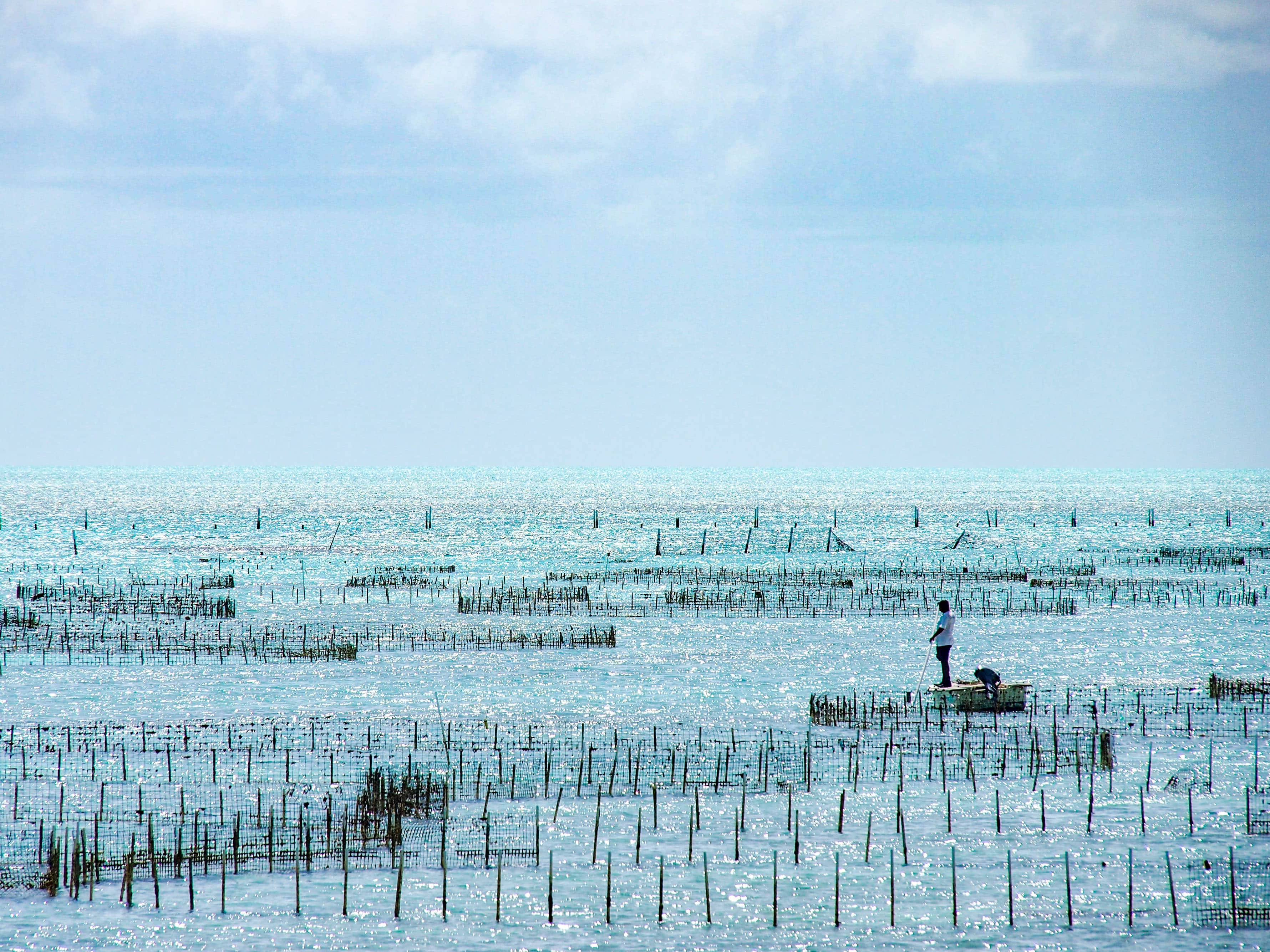 Conch Farm, Turks and Caicos | SBPR