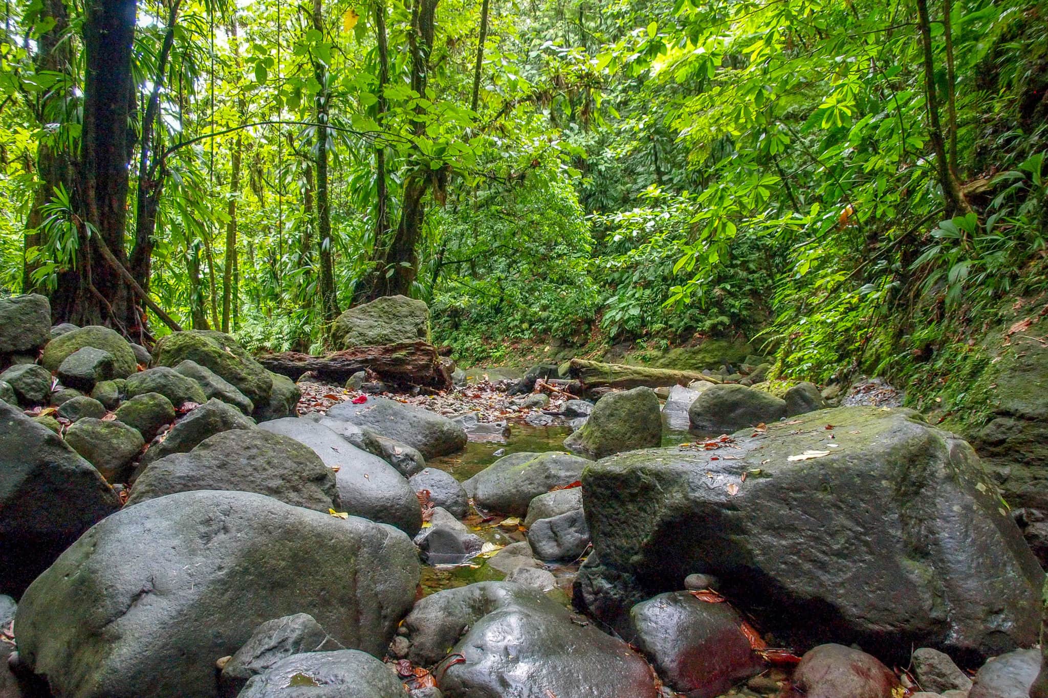 The Maroons Of Dominica And The Caribbean s Forgotten War