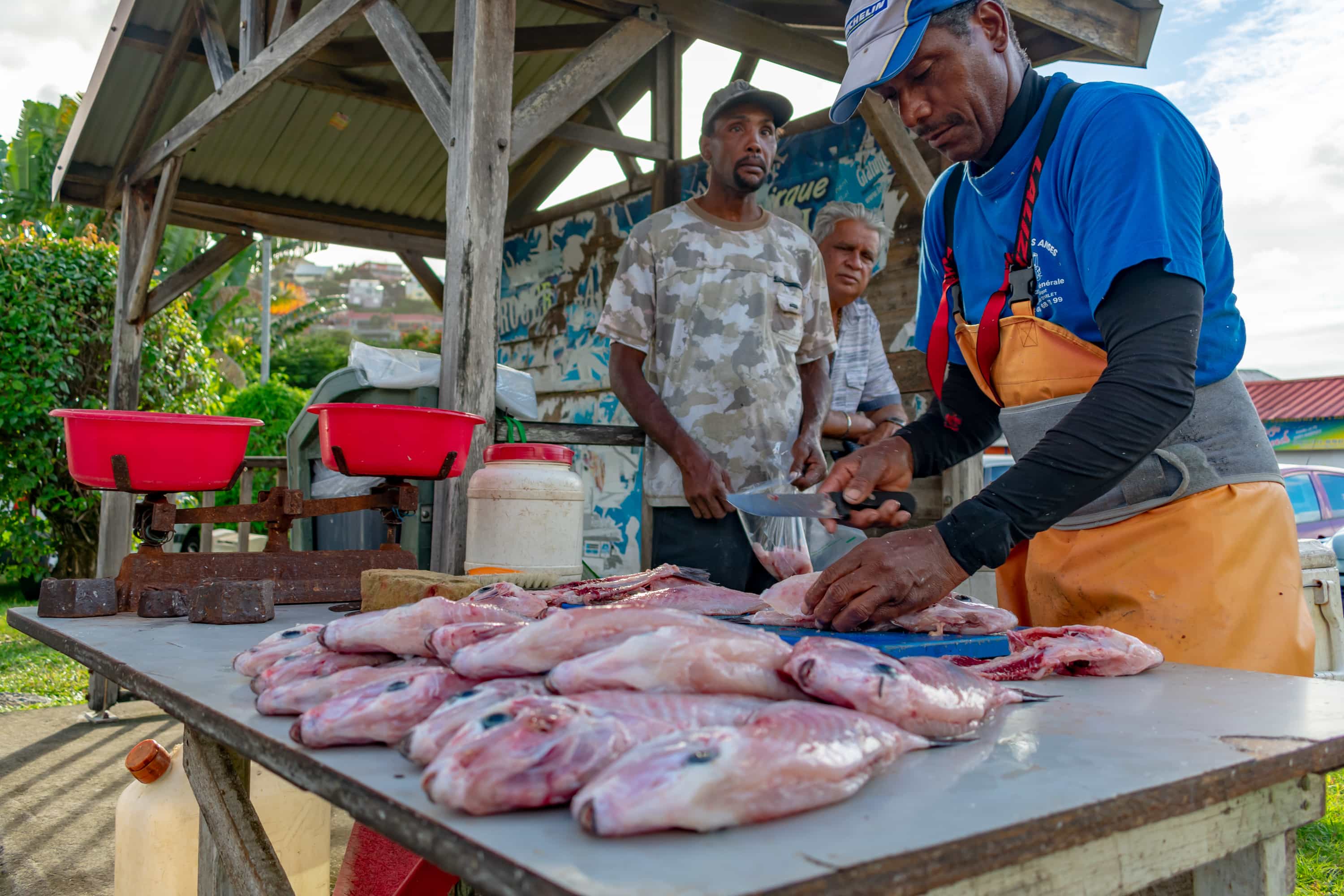 Roadside fish market in Martinique | SBPR