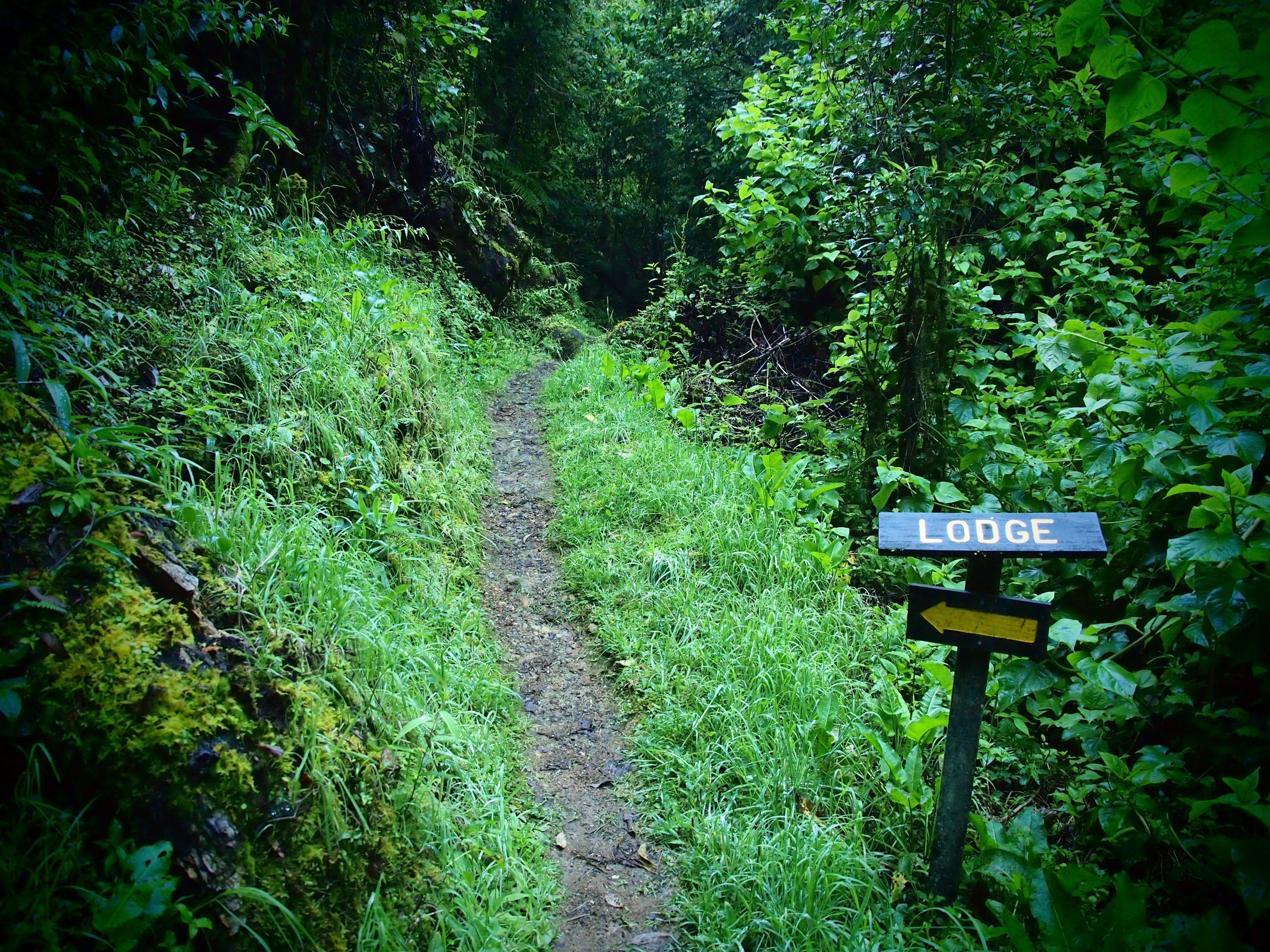 Costa Rica Cloud Forest