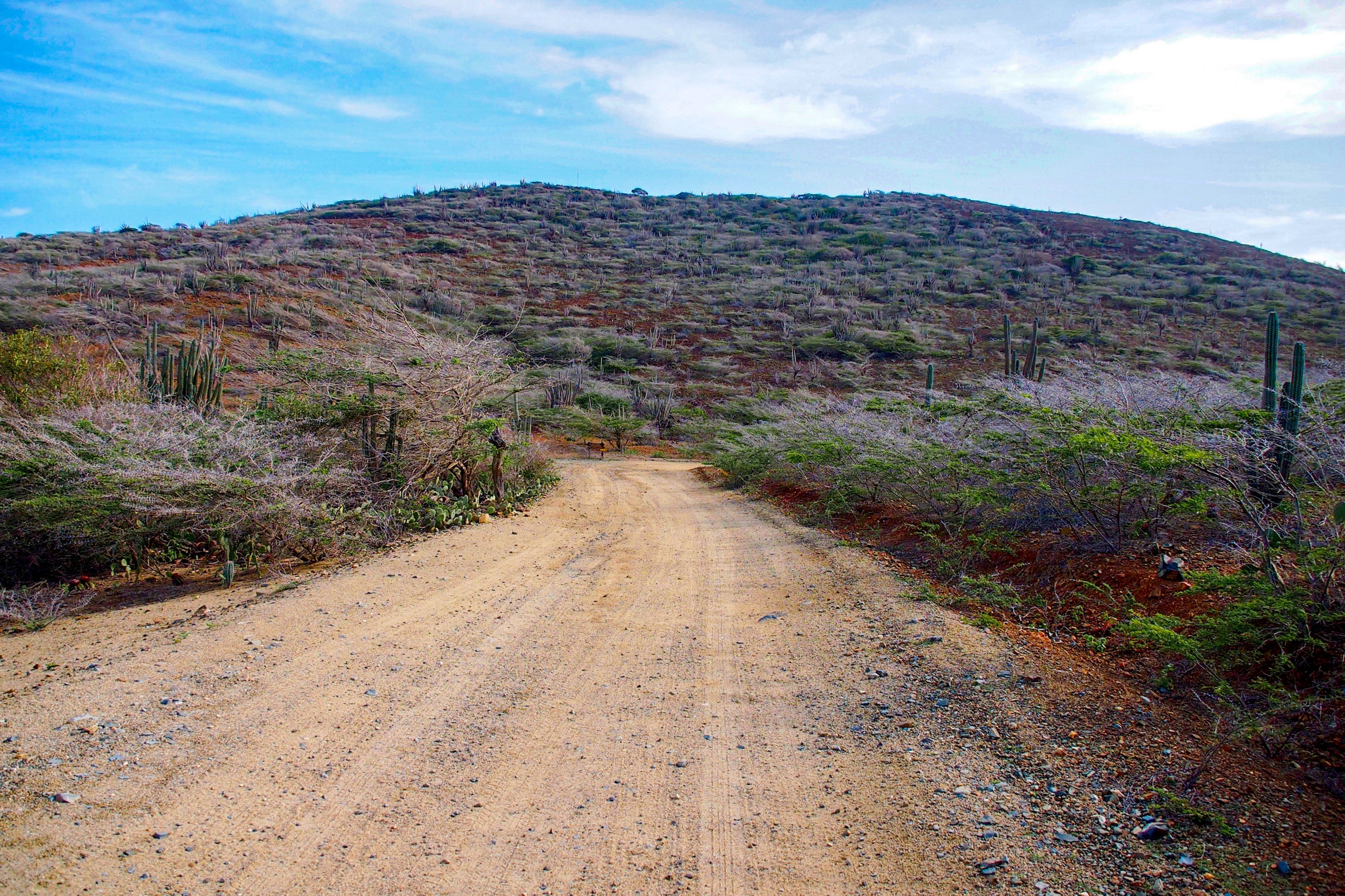 Arikok National Park