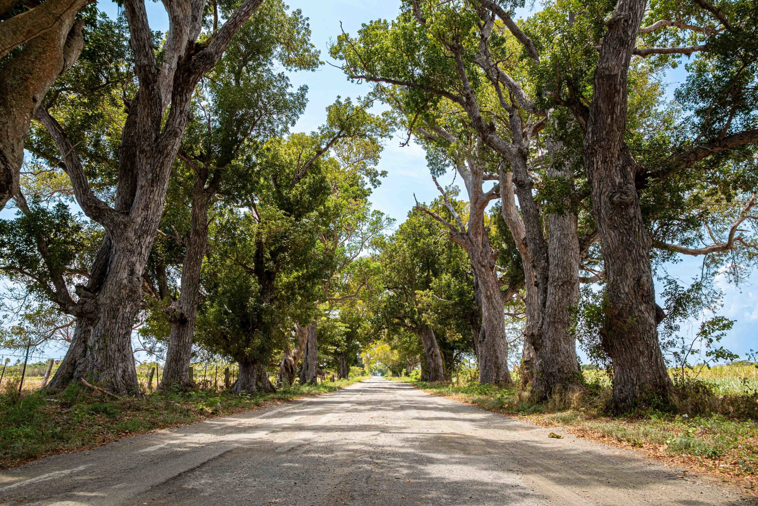 Mahogany Road, St. Croix