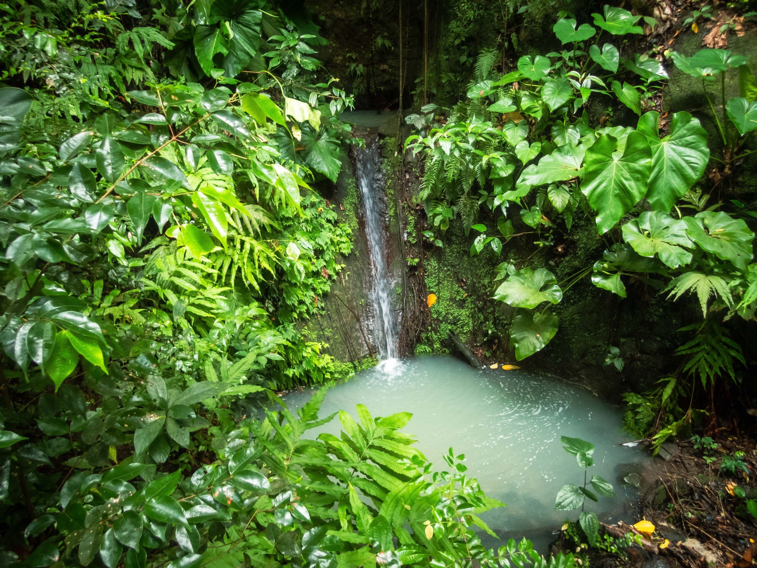 Montserrat Waterfalls